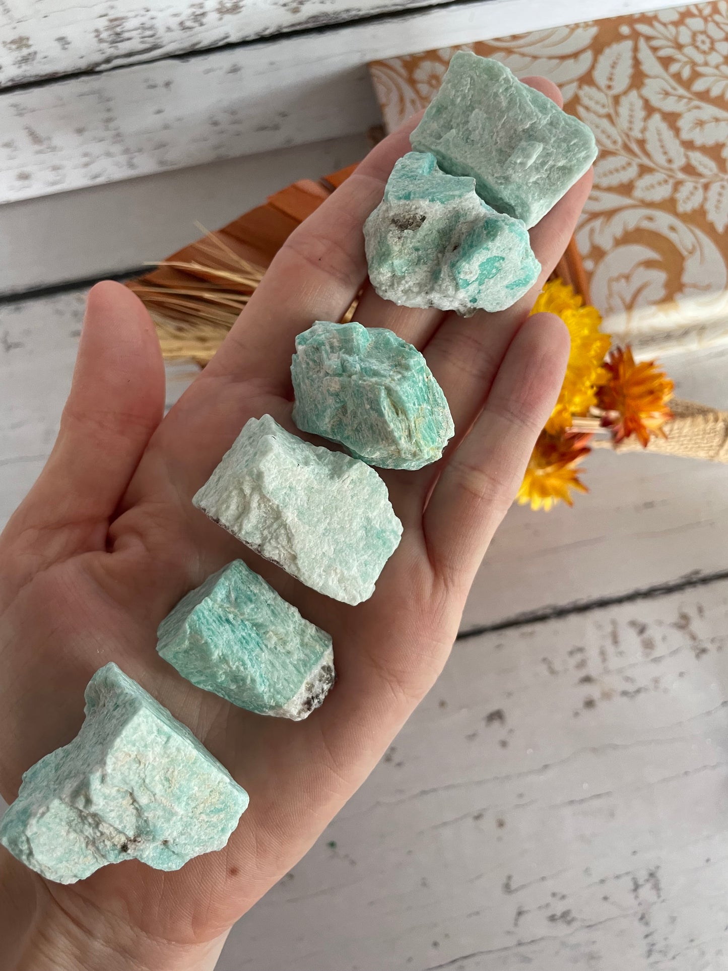 INTUITIVELY CHOSEN ~ Amazonite