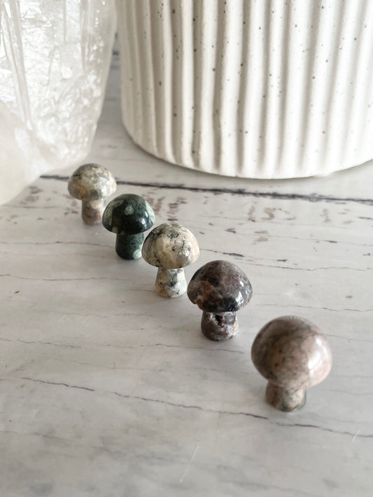 Intuitively chosen ~ Jasper Mushroom