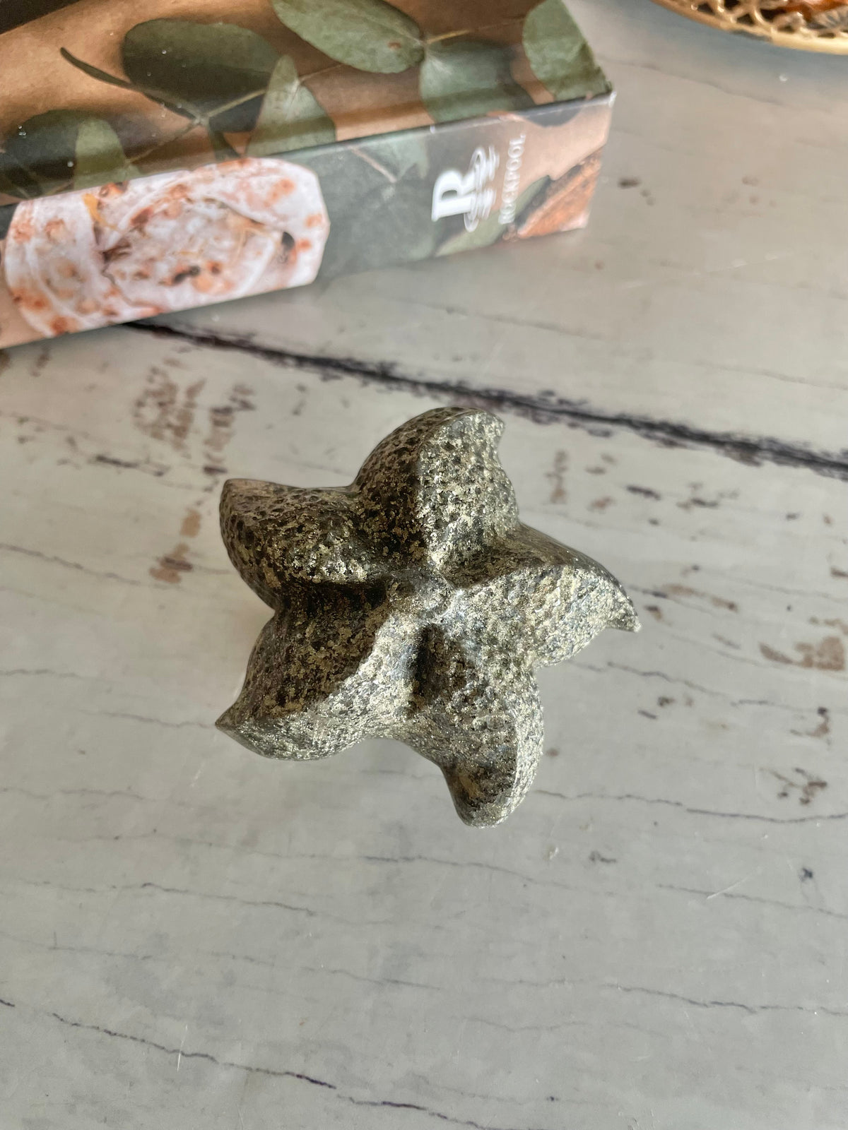 Sea Star ~ Pyrite