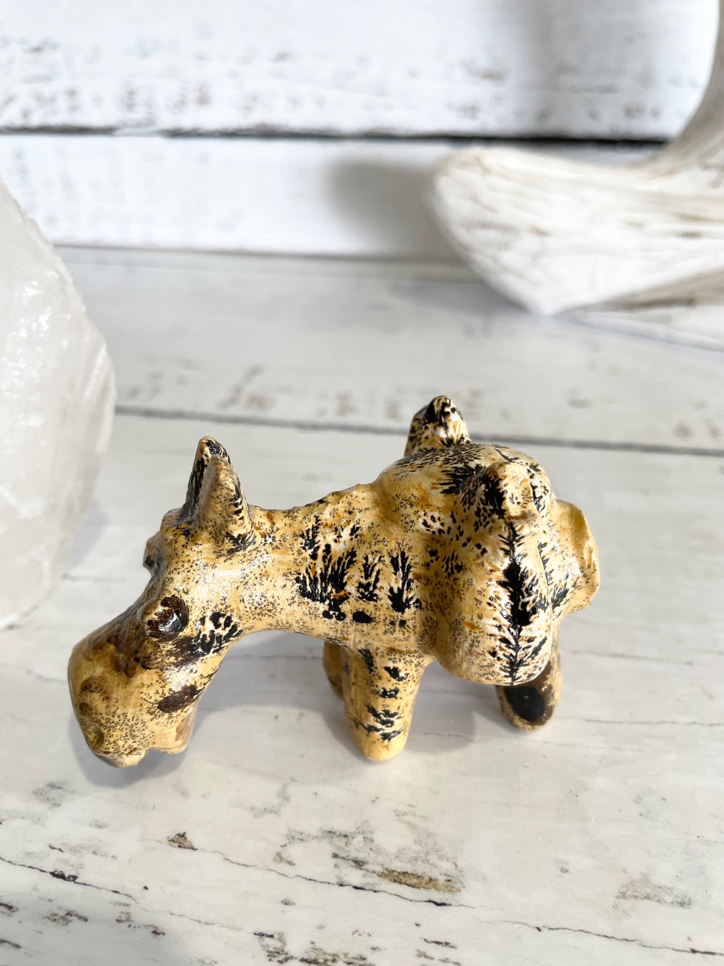 Picture Jasper Donkey ~ 3
