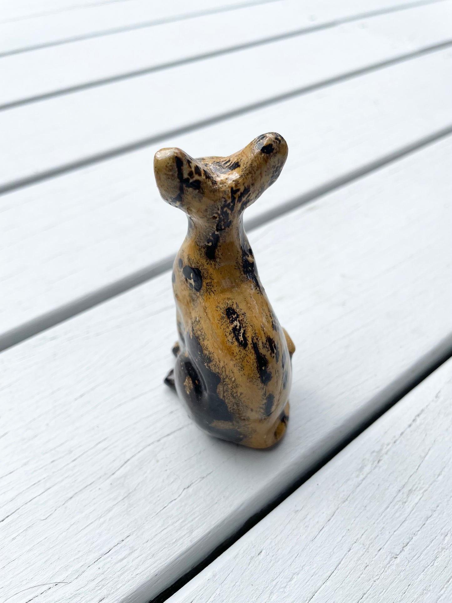 Picture Jasper Cat