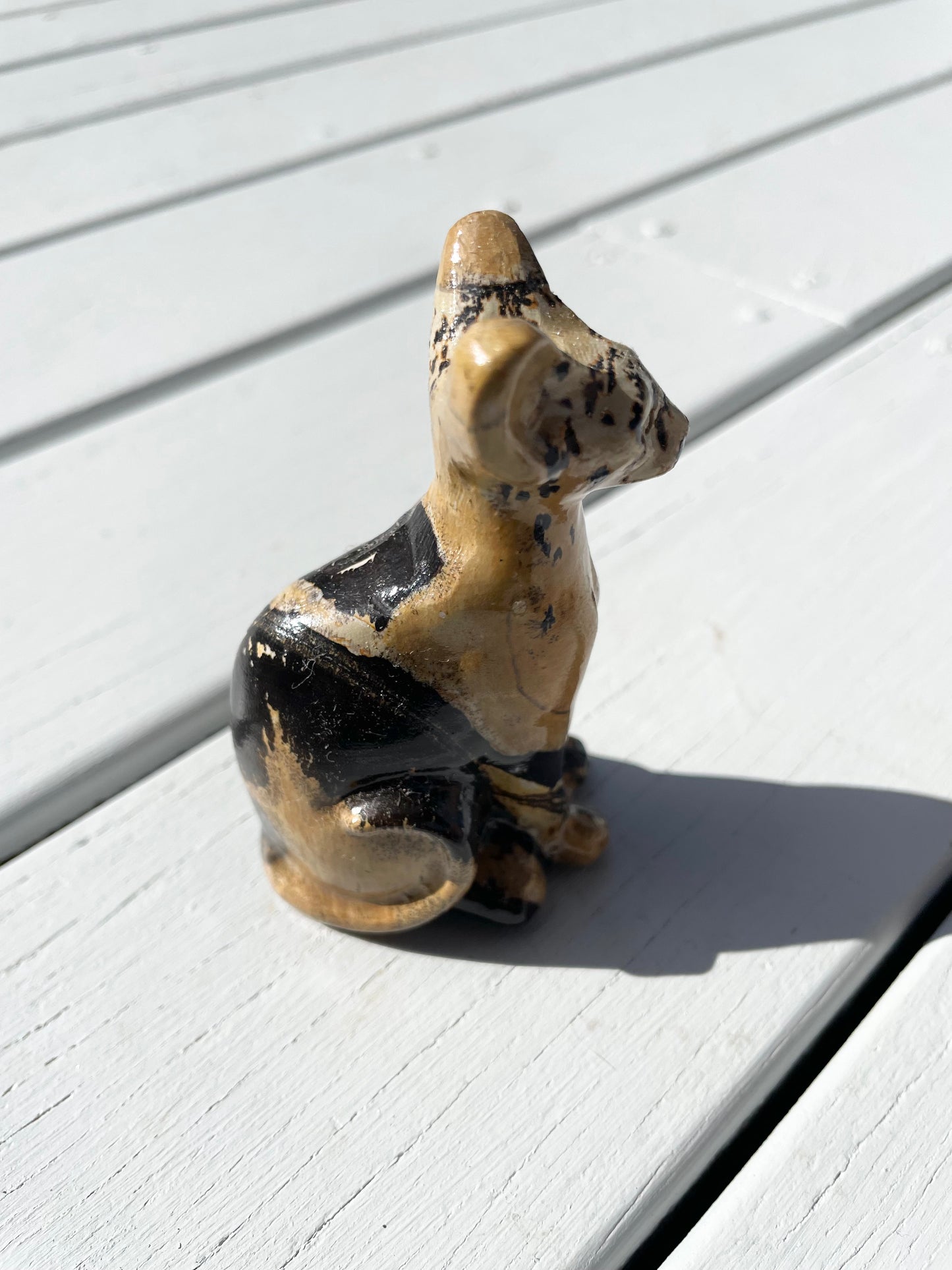 Picture Jasper Cat