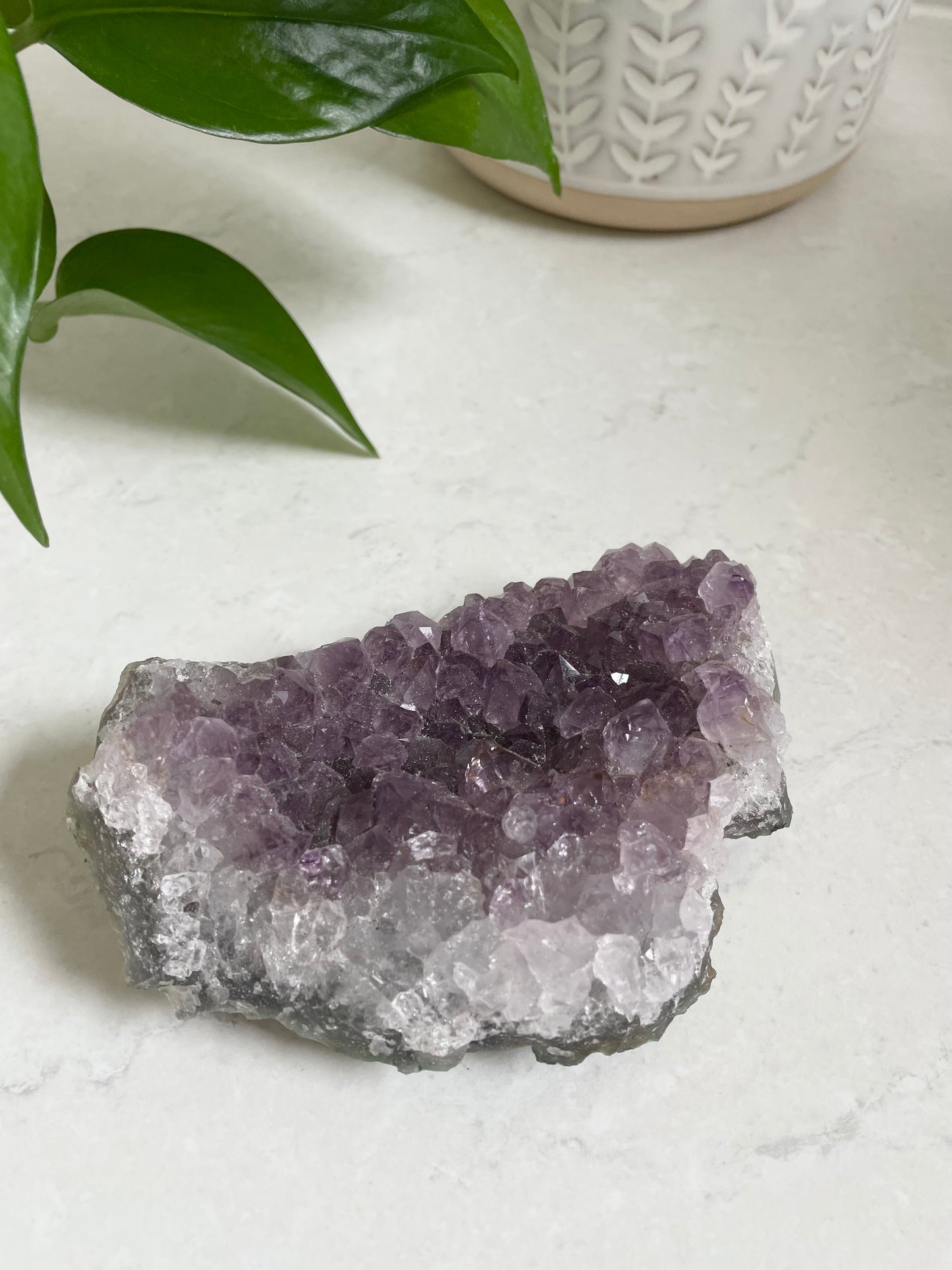 Amethyst Cluster