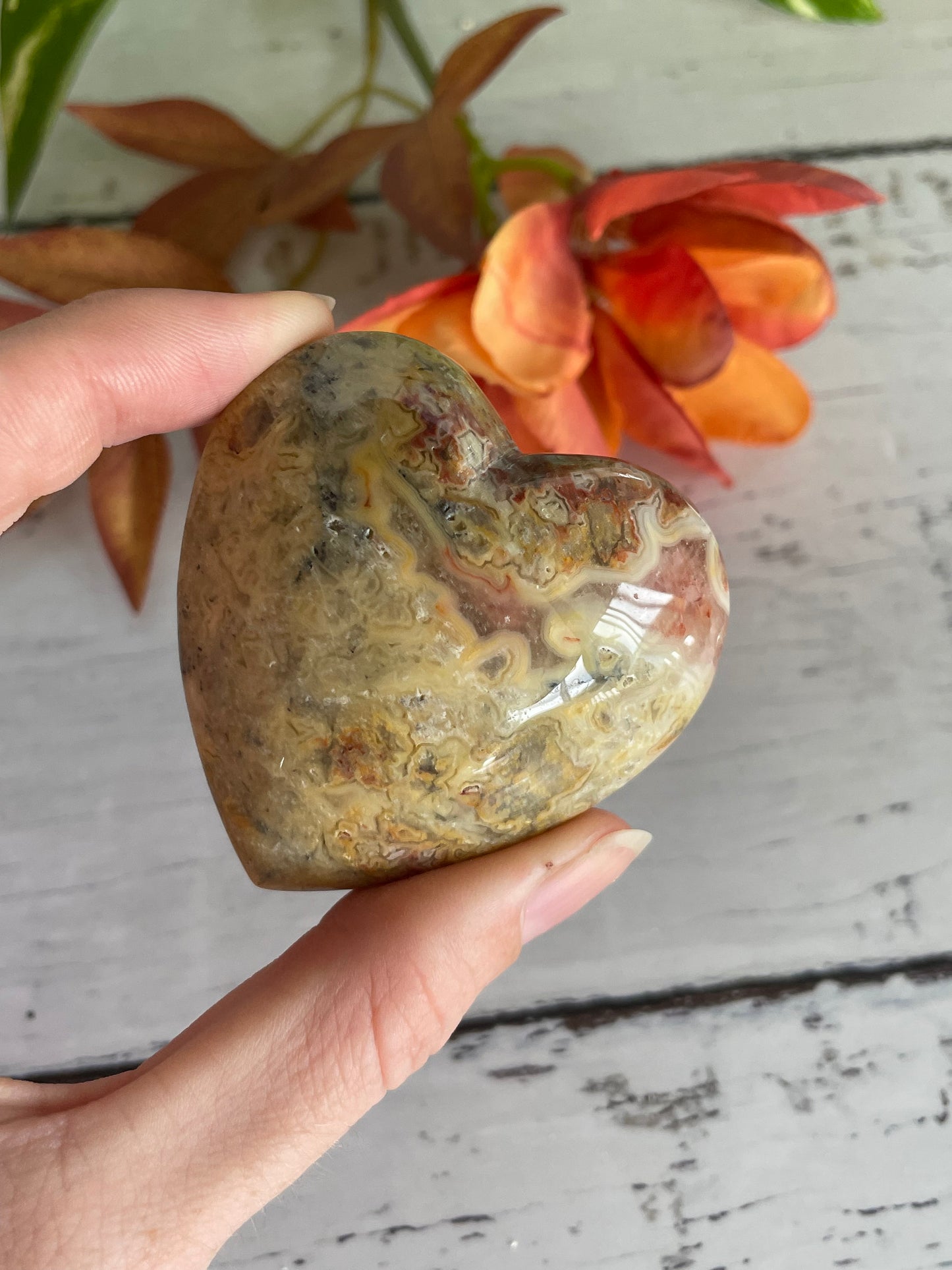 Crazy Lace Agate Heart