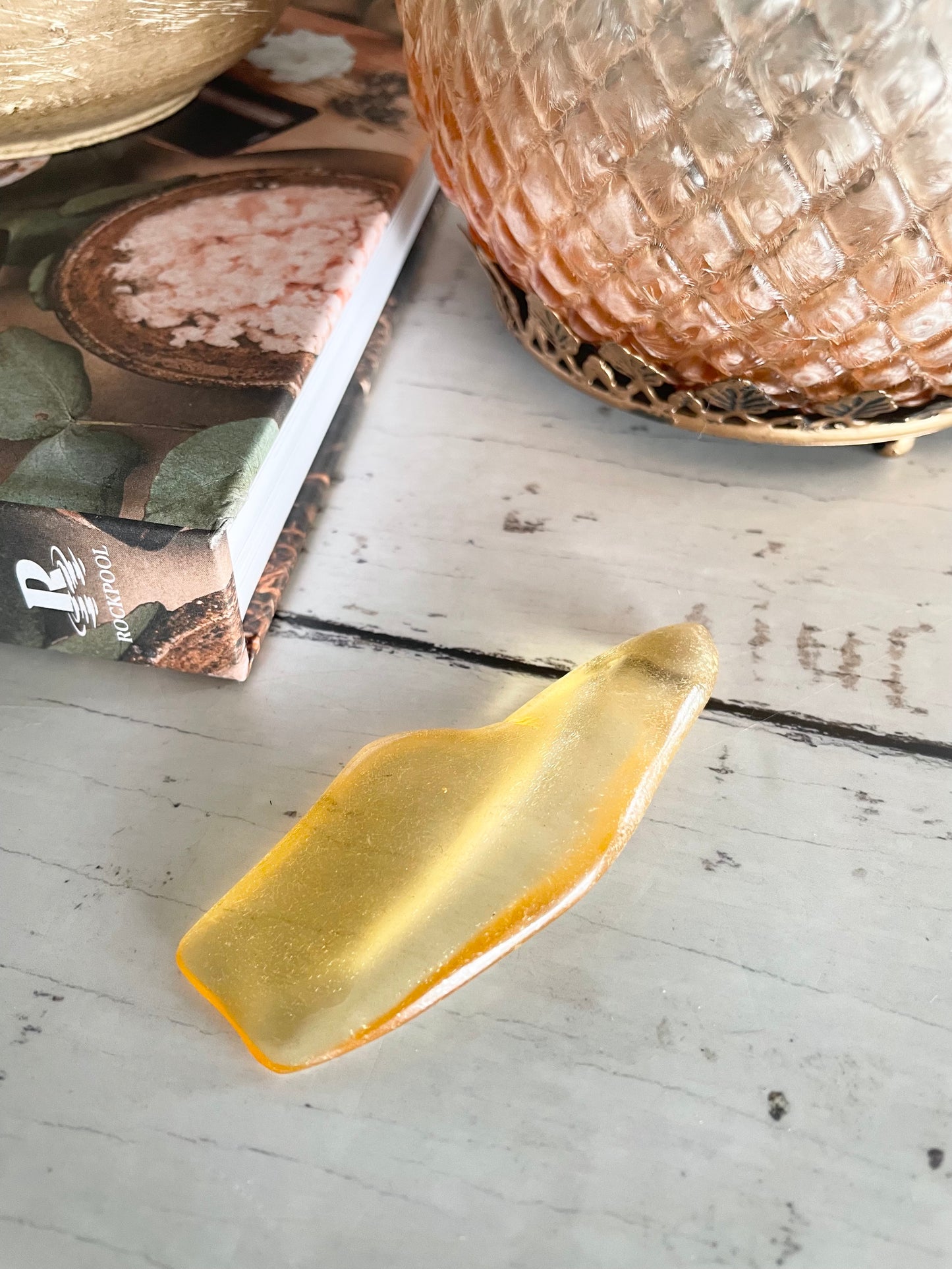 Copal Fossil ~ (young amber)  Colombia