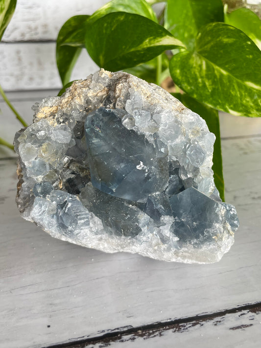 Celestite Cluster