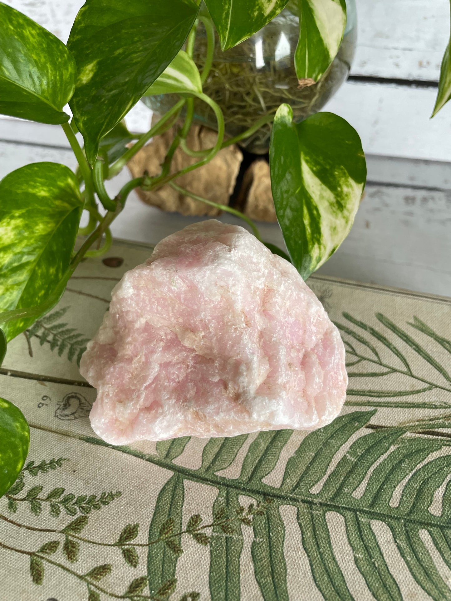 Pink Aragonite