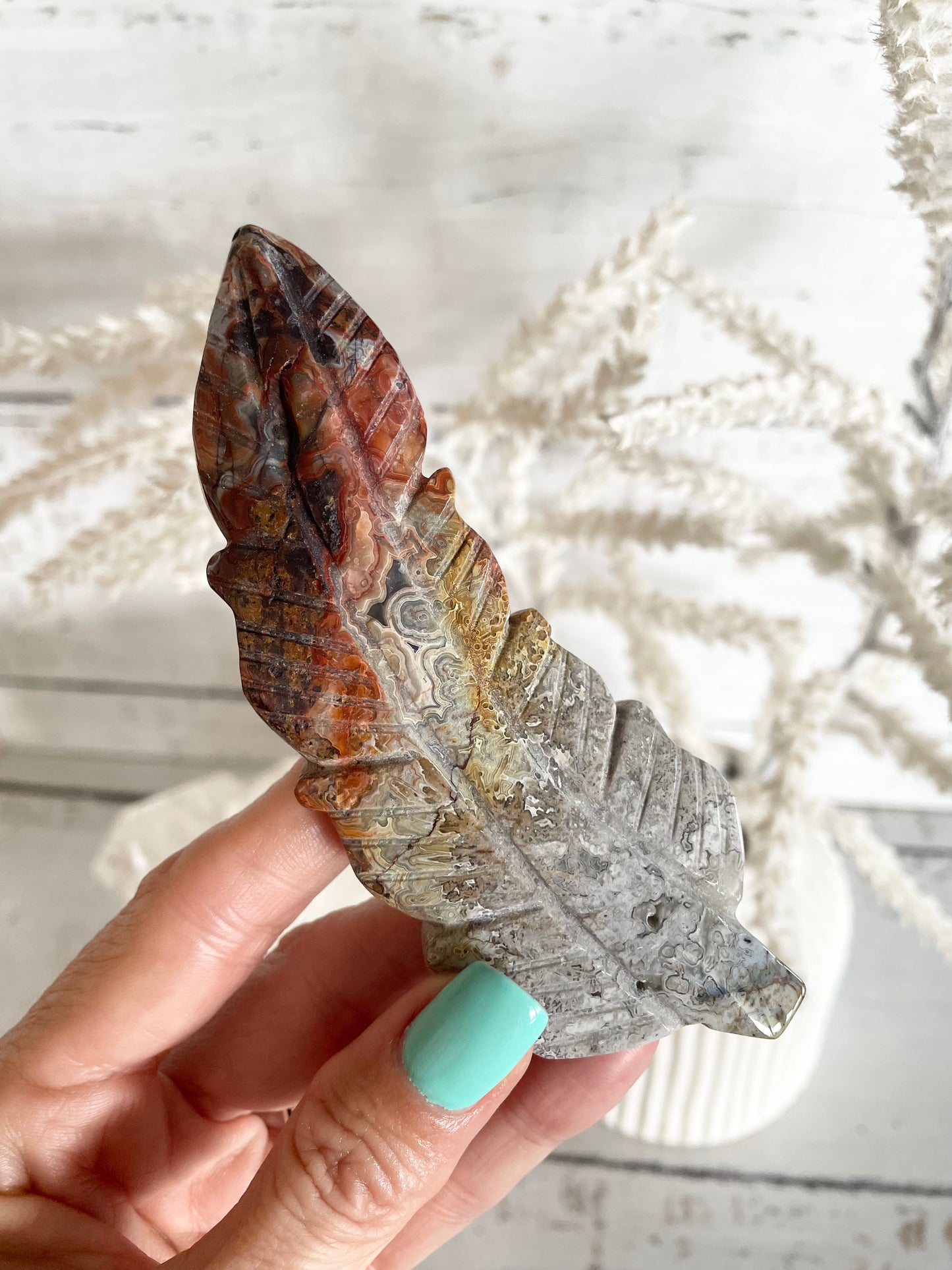 Mexican Crazy Lace Agate feather