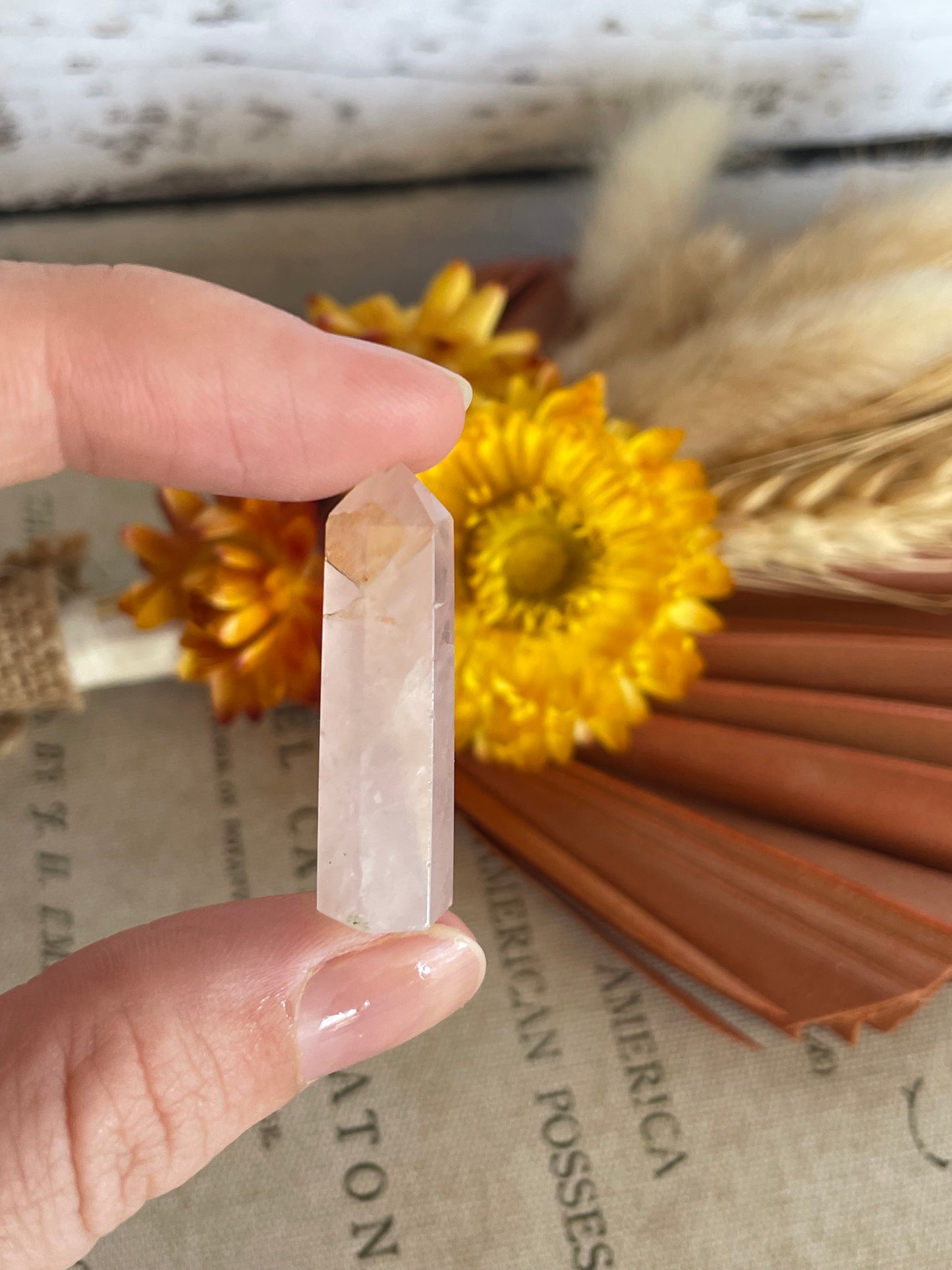 Intuitively Chosen ~ Rose Quartz Mini Generator