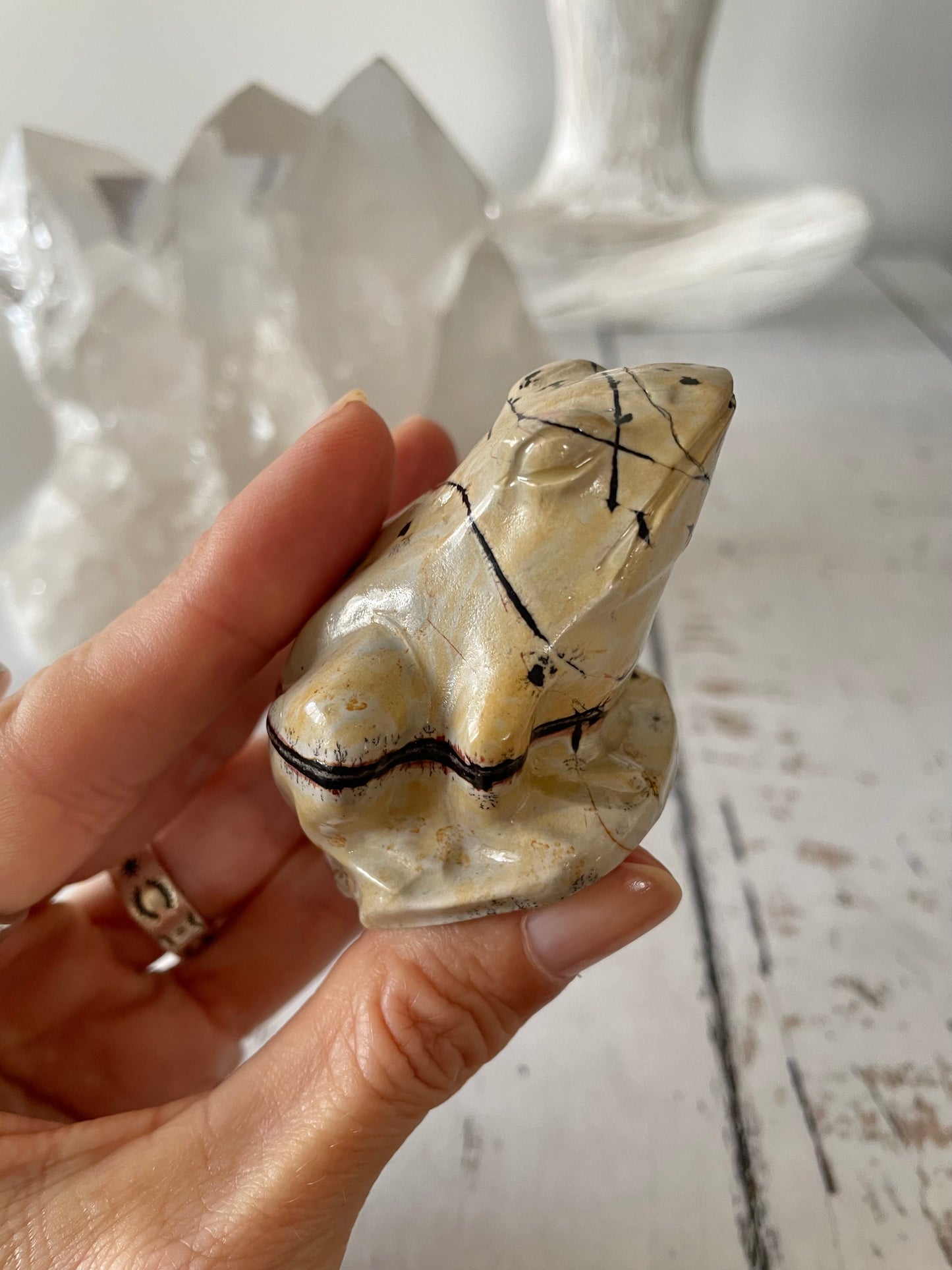 Picture Jasper Frog