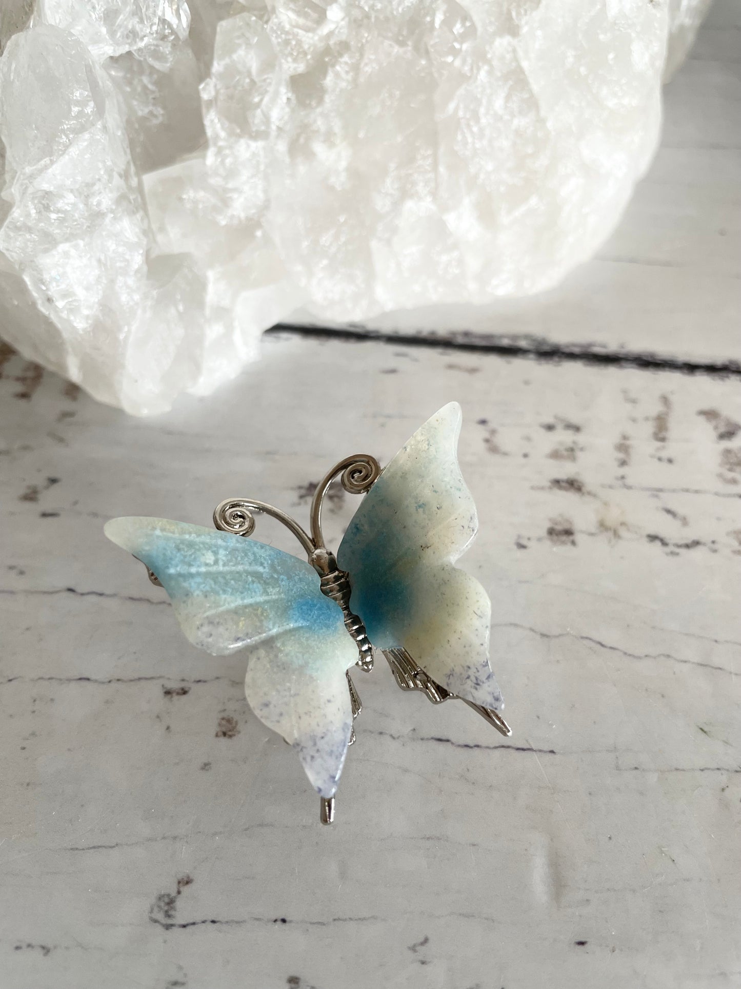 Trolleite Butterfly