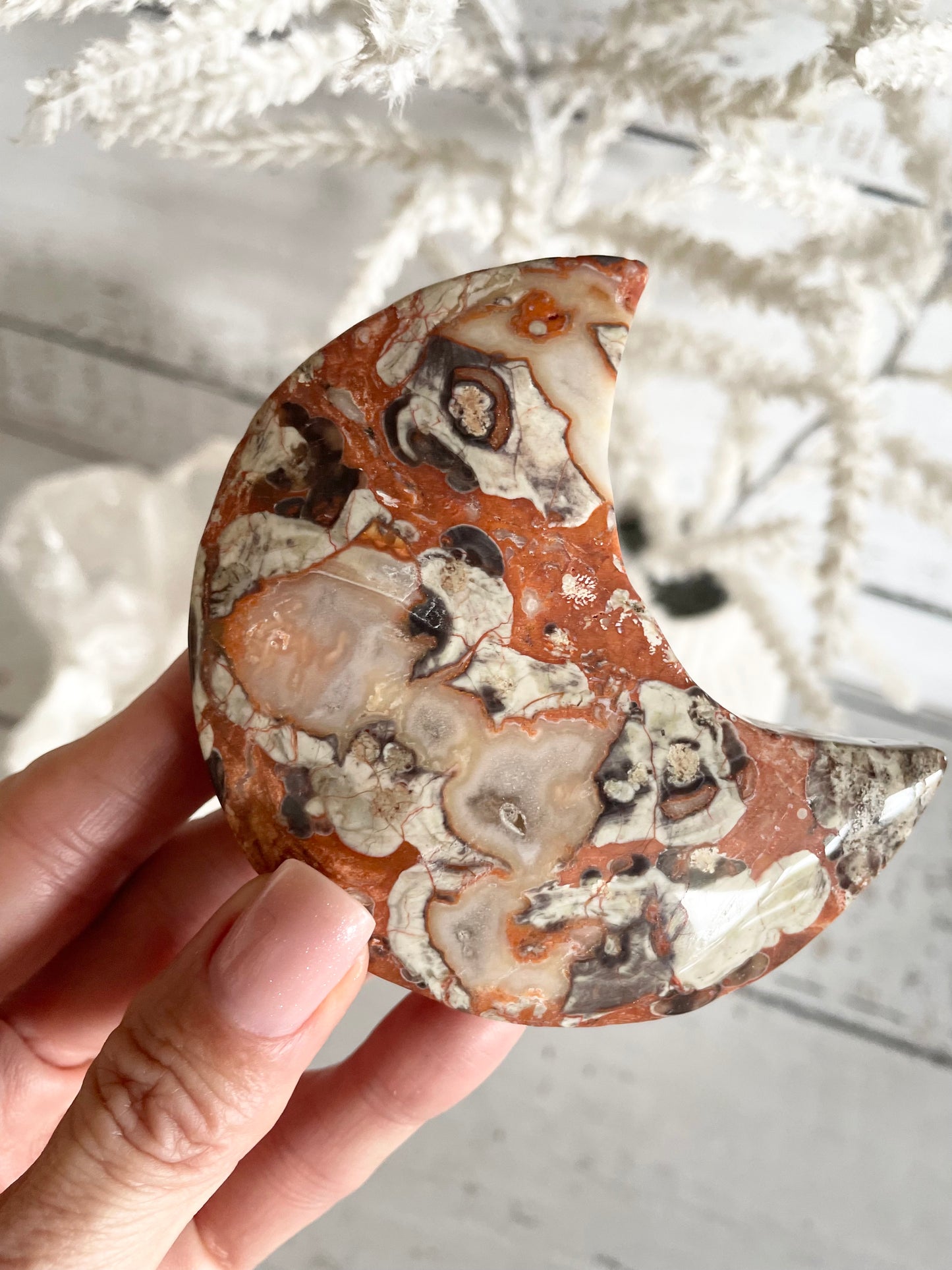 Fortune Agate Crescent Moon