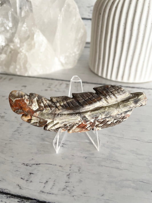 Mexican Crazy Lace Agate feather