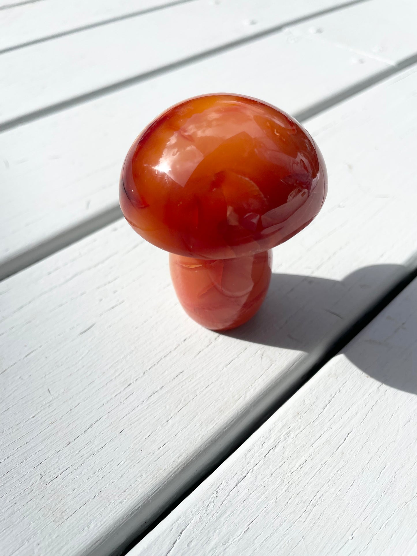 Carnelian Mushroom