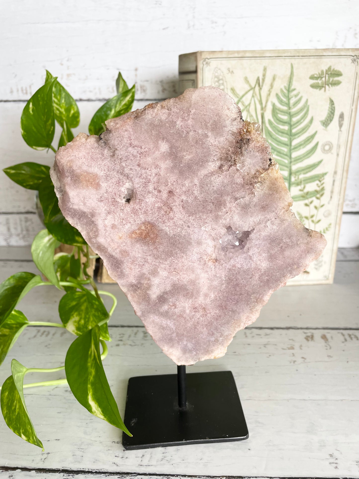 Pink Amethyst On Stand ~ 1kgs