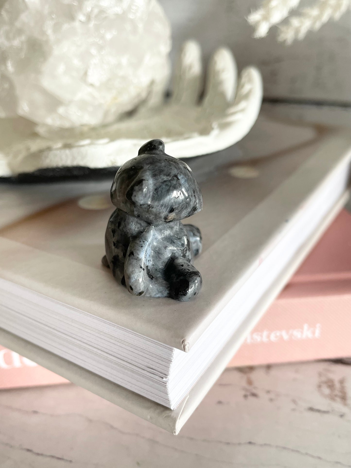 Teddy Bear ~ Larvakite