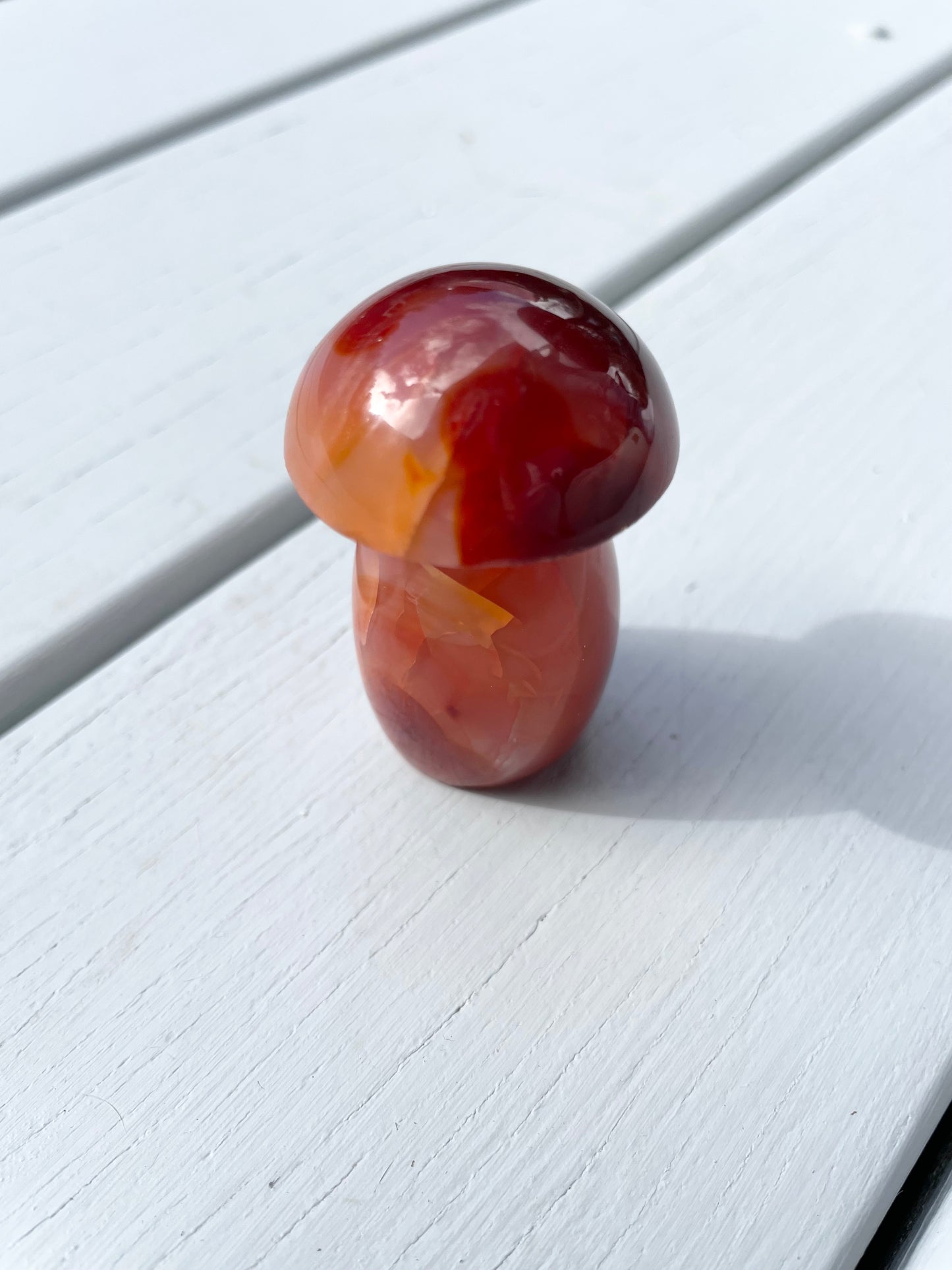 Carnelian Mushroom