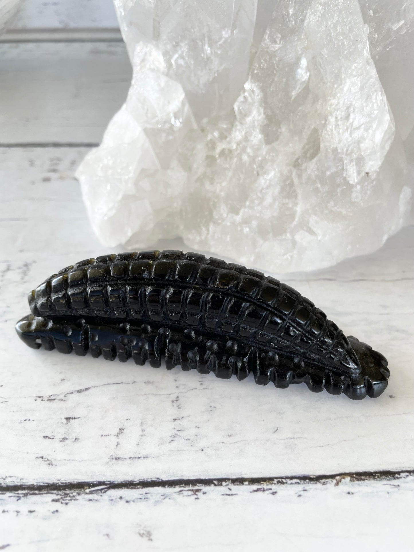 Golden Obsidian Sea Cucumber