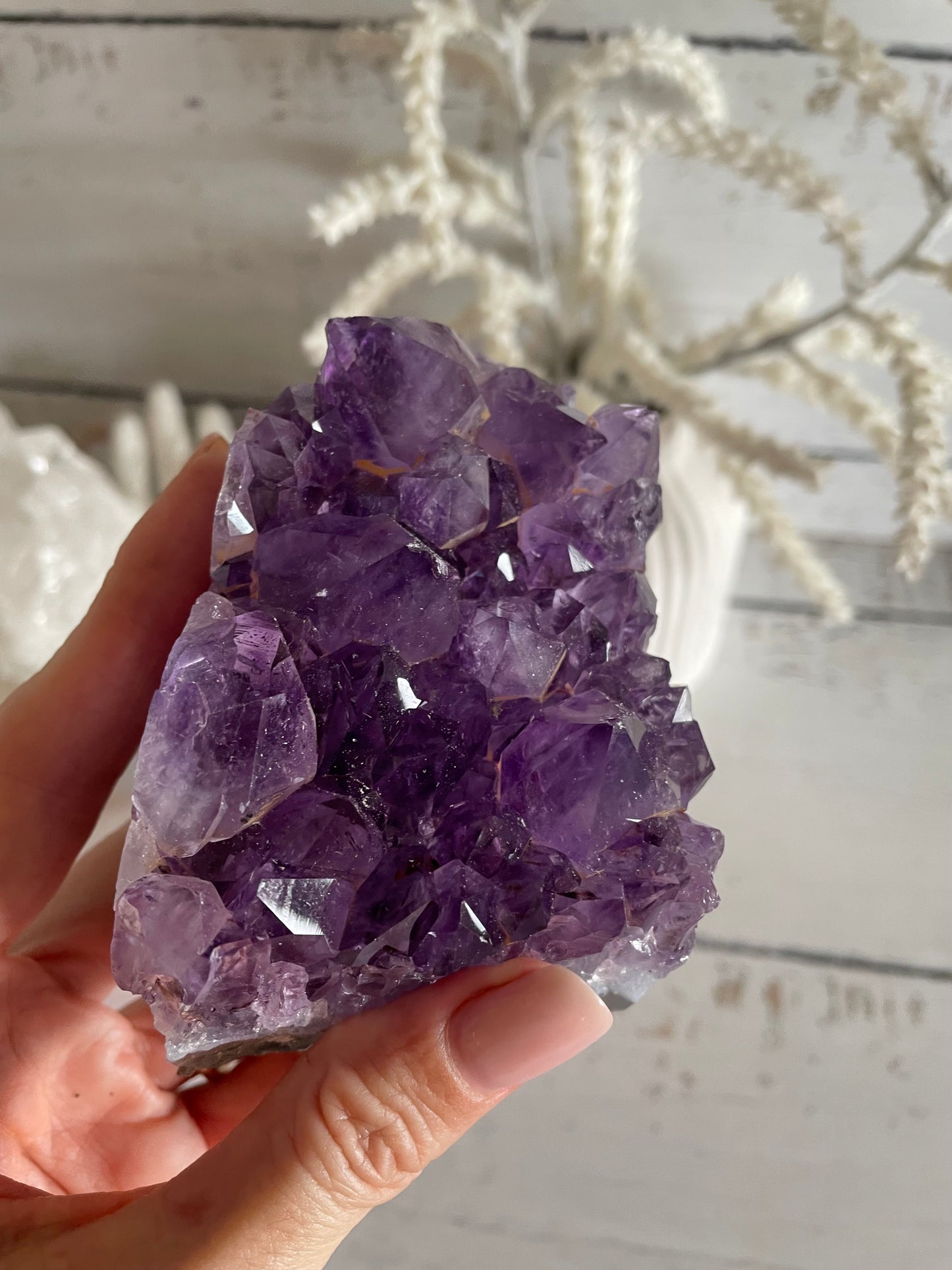 Amethyst Cluster