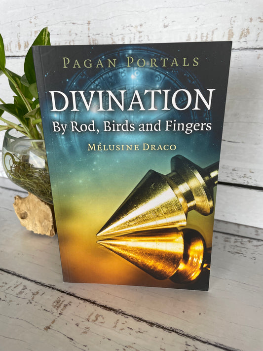 Pagan Portals ~ Divination