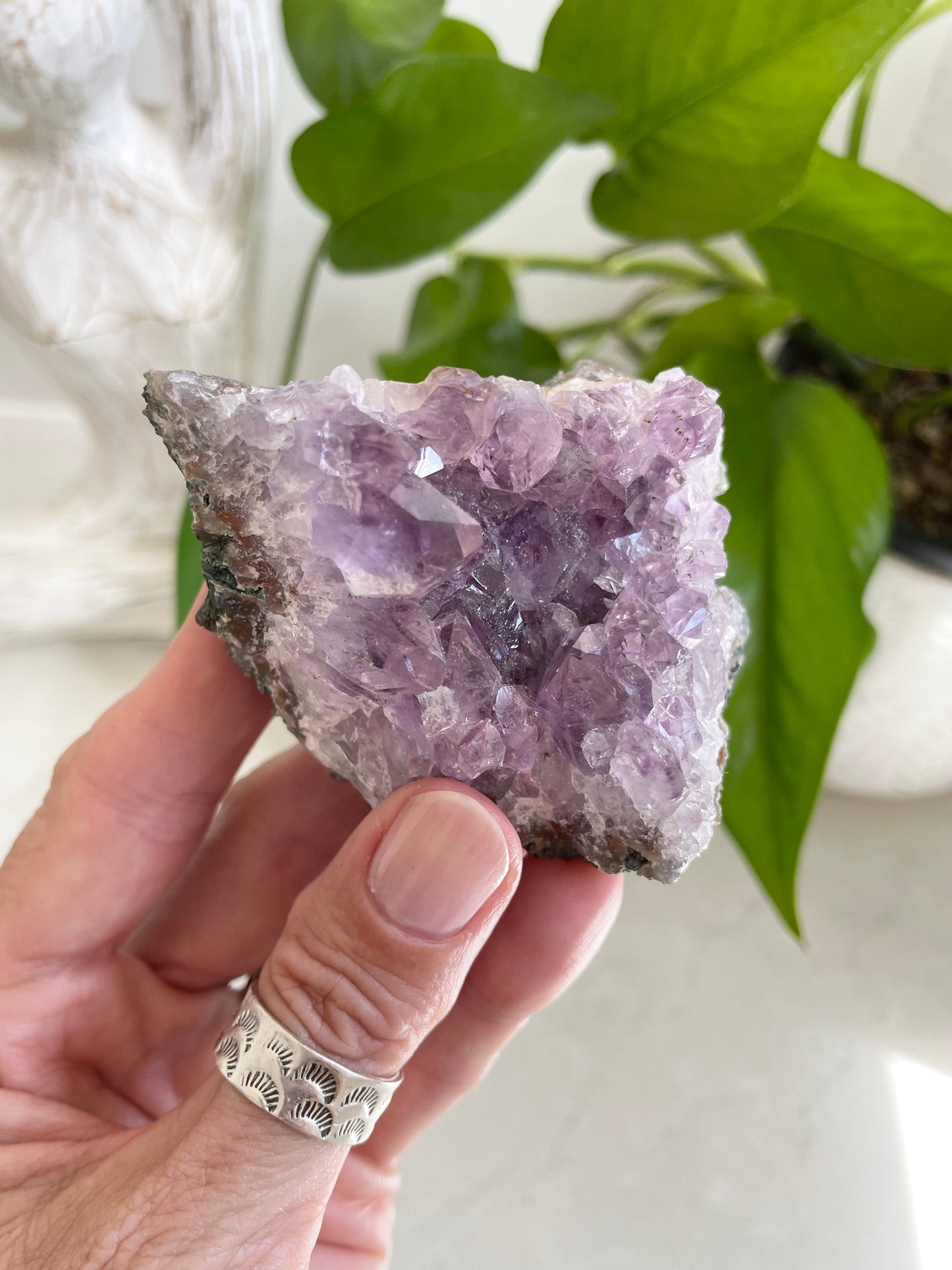 Amethyst Cluster