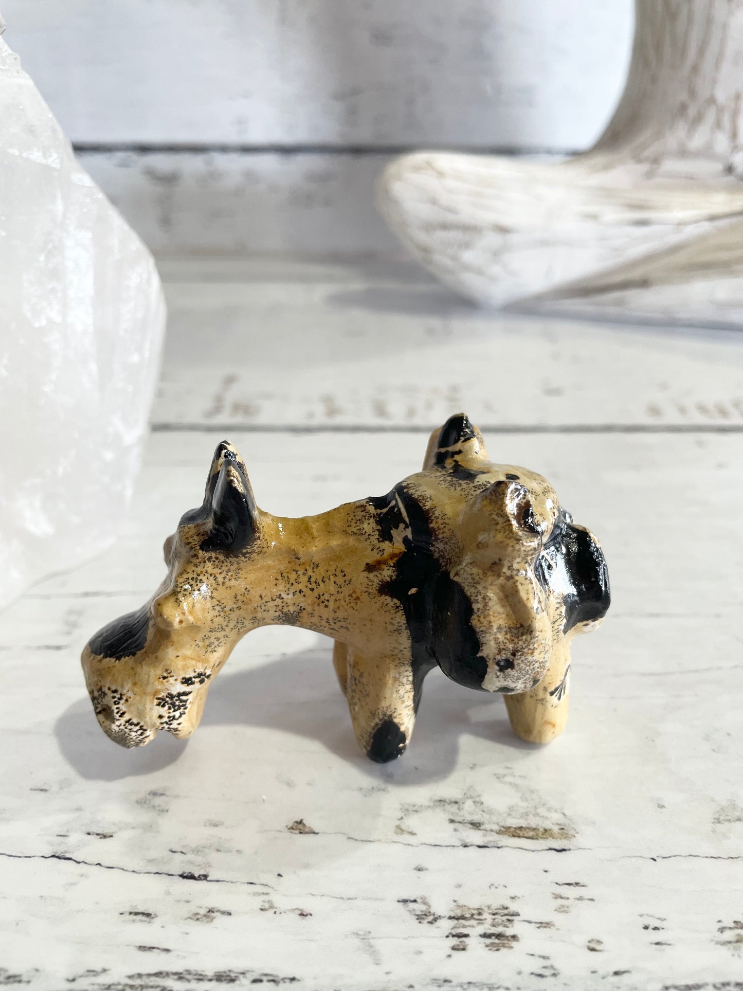 Picture Jasper Donkey ~ 13