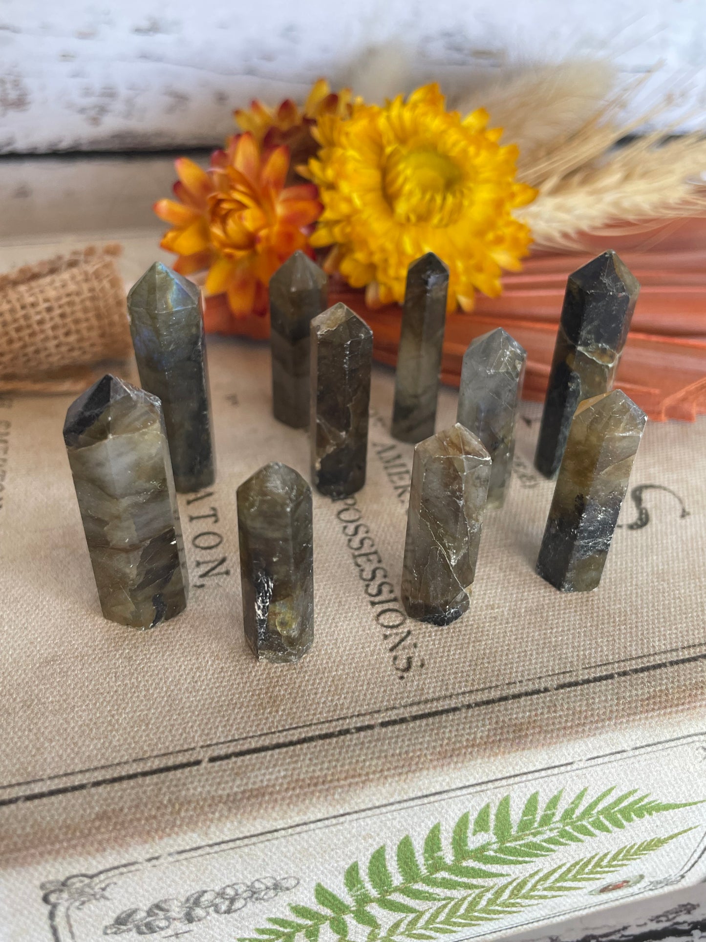 Intuitively Chosen ~ Labradorite Mini Generator