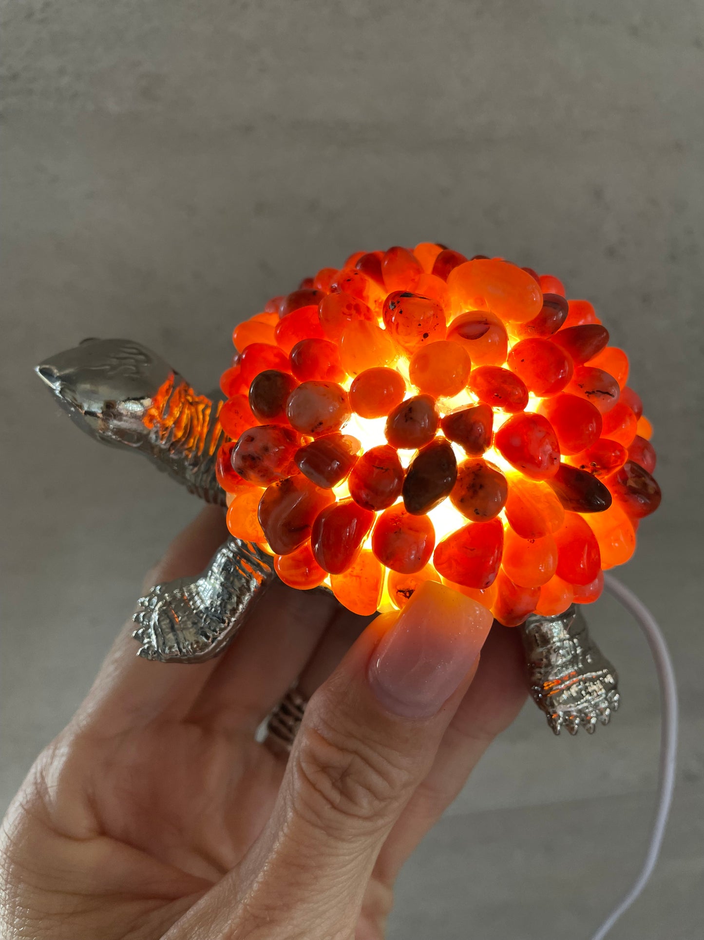 Tortoise Led Lamp - Red Carnelian