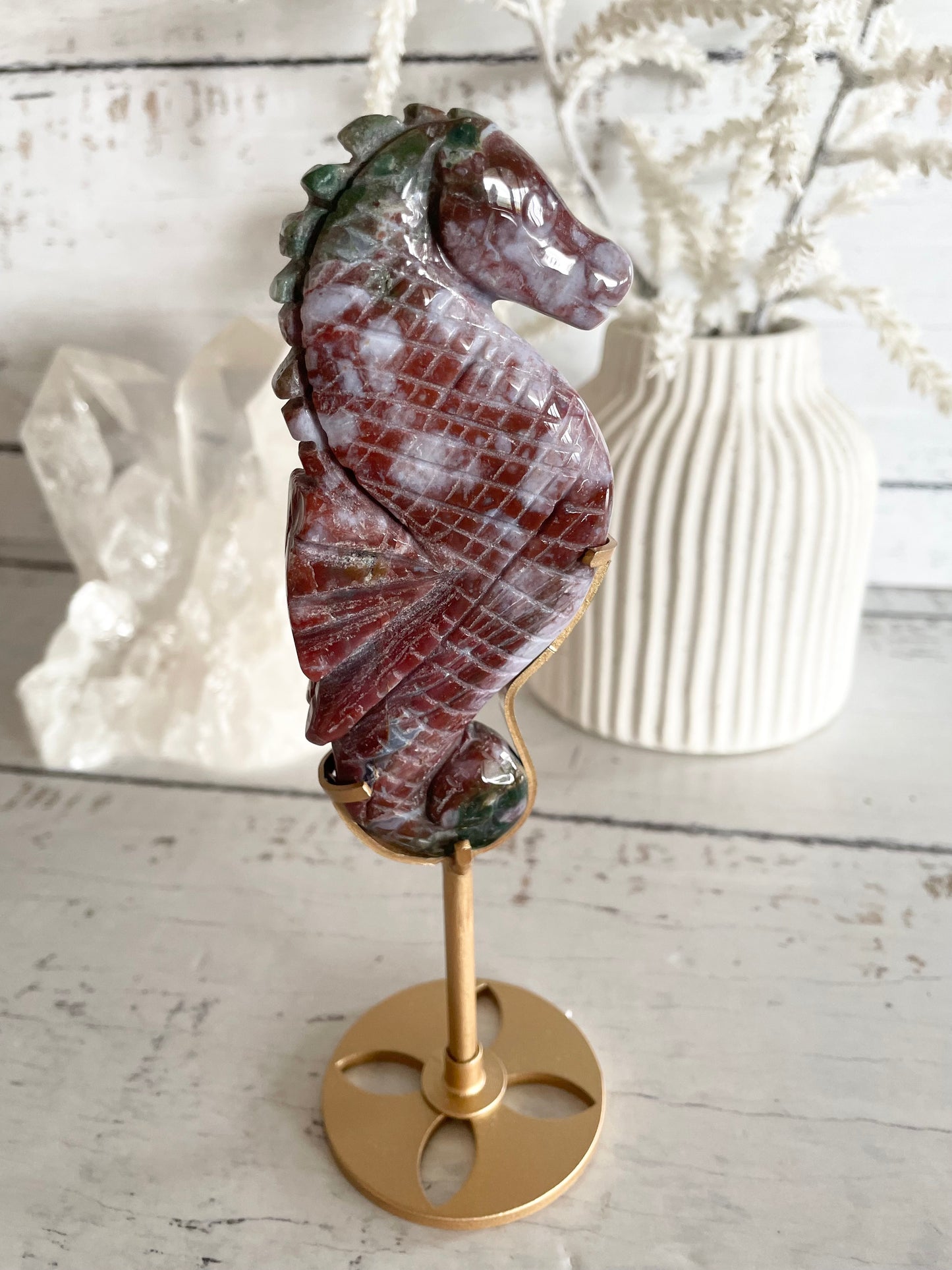 Seahorse ~ Indian Agate