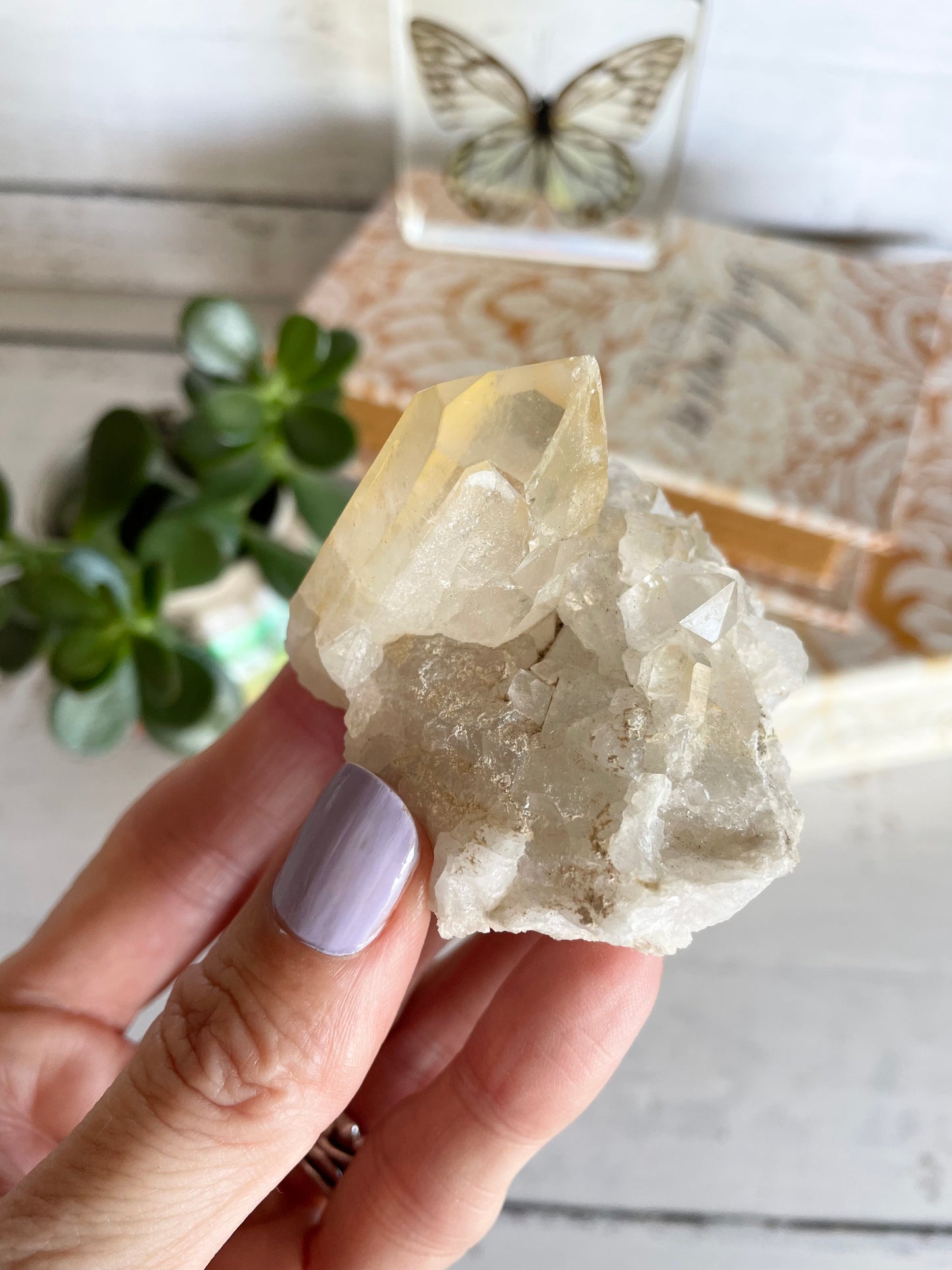 Golden Healer Lemurian Cluster