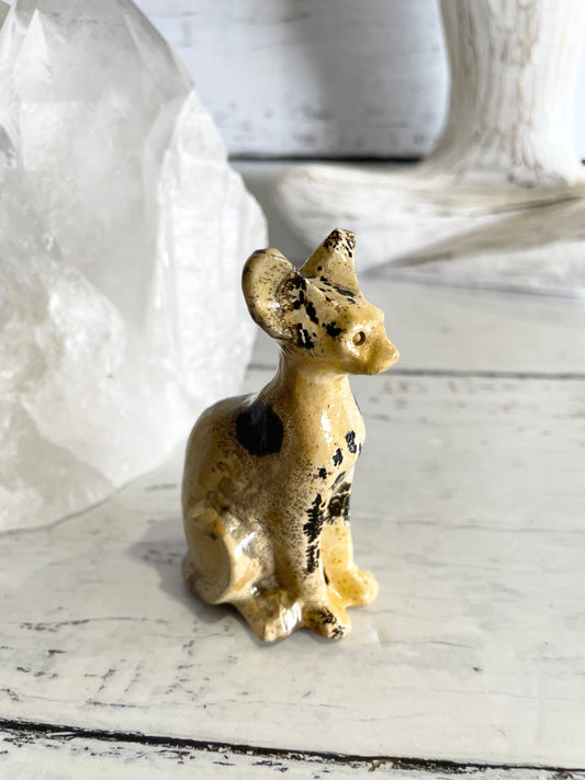 Picture Jasper Spinx Cat ~ 9