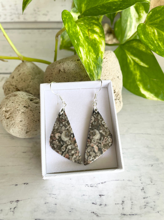 SweetGrass Studio ~ Crinoid Fossil Dangles