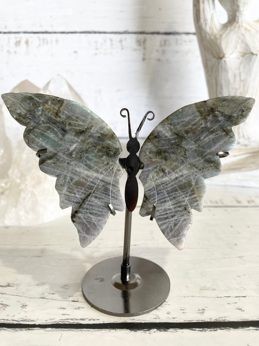 Butterfly ~ Labradorite
