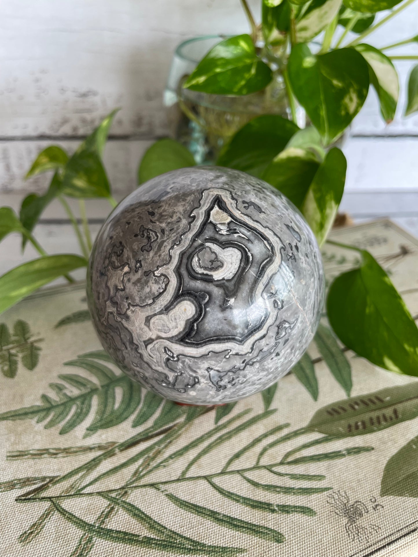 Picasso Jasper Sphere Includes Wooden Holder