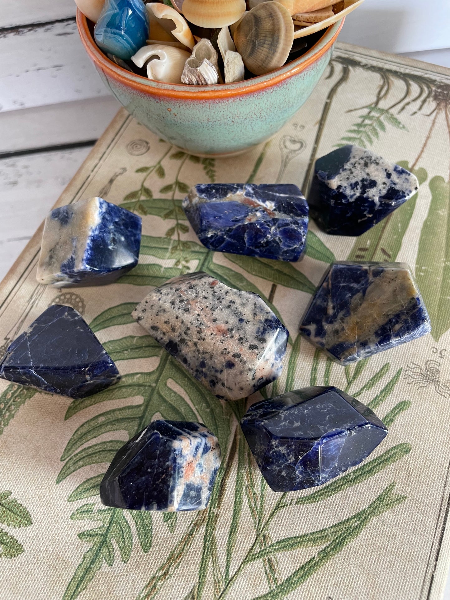 INTUITIVELY CHOSEN ~ Sodalite Polished Freeform