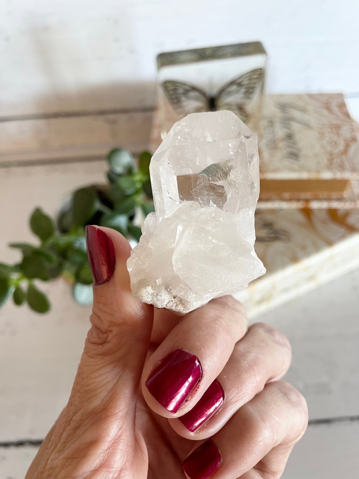 Clear Quartz Cluster