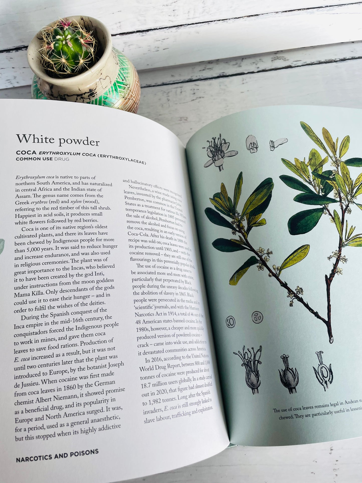 How Herbs Healed the World