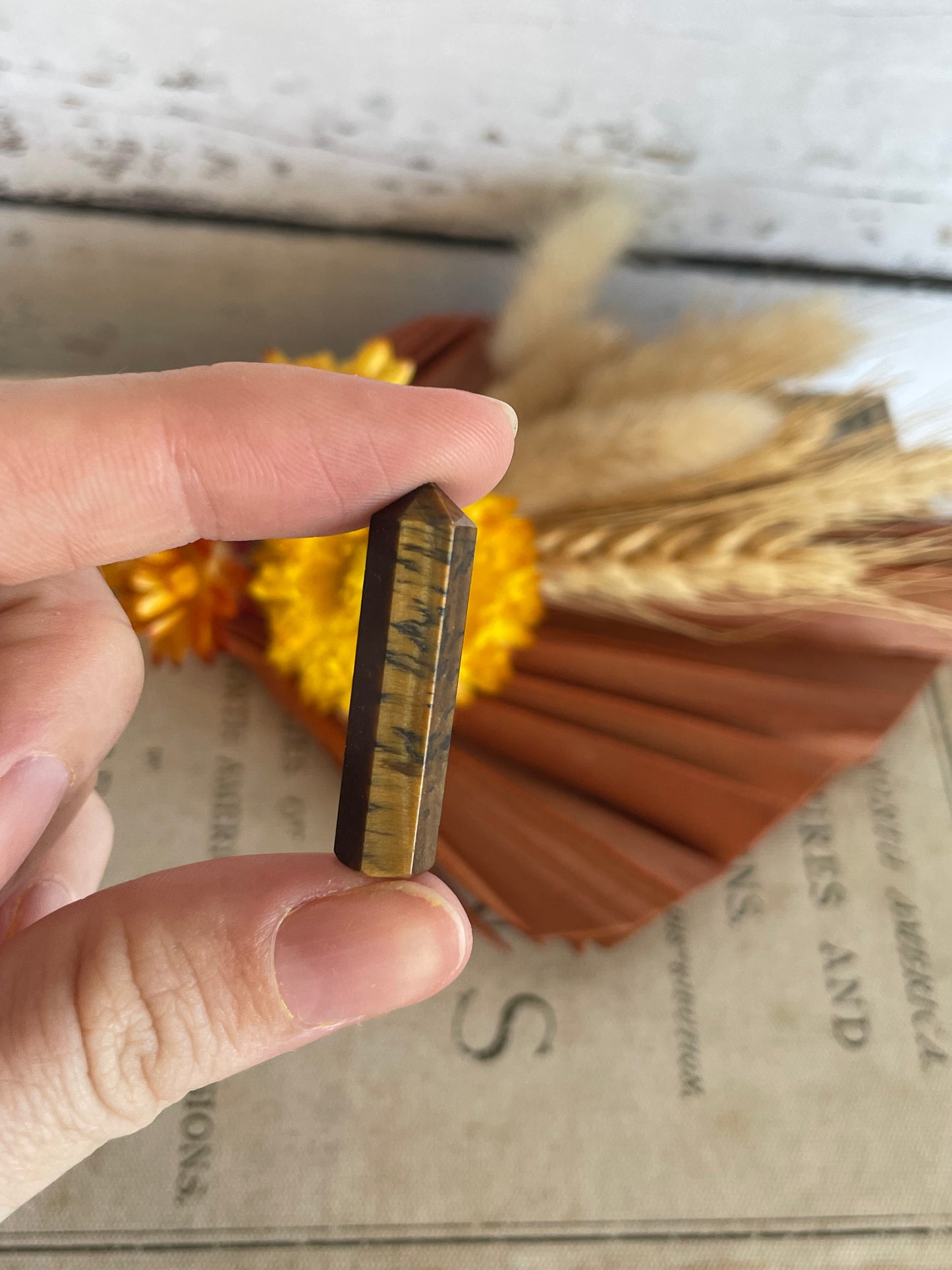 Intuitively Chosen ~ Tigers Eye Mini Generator