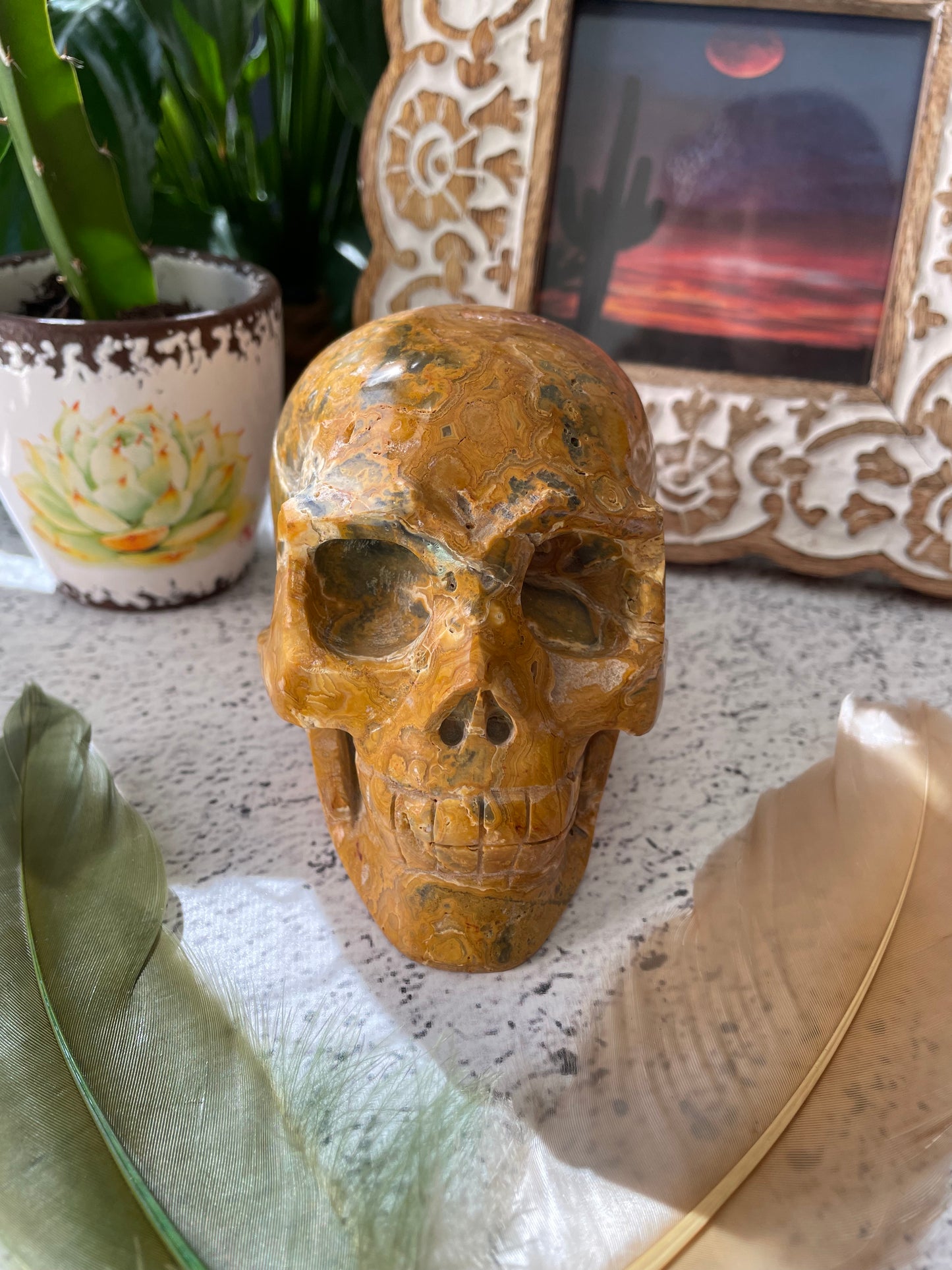 Crazy Lace Agate Skull