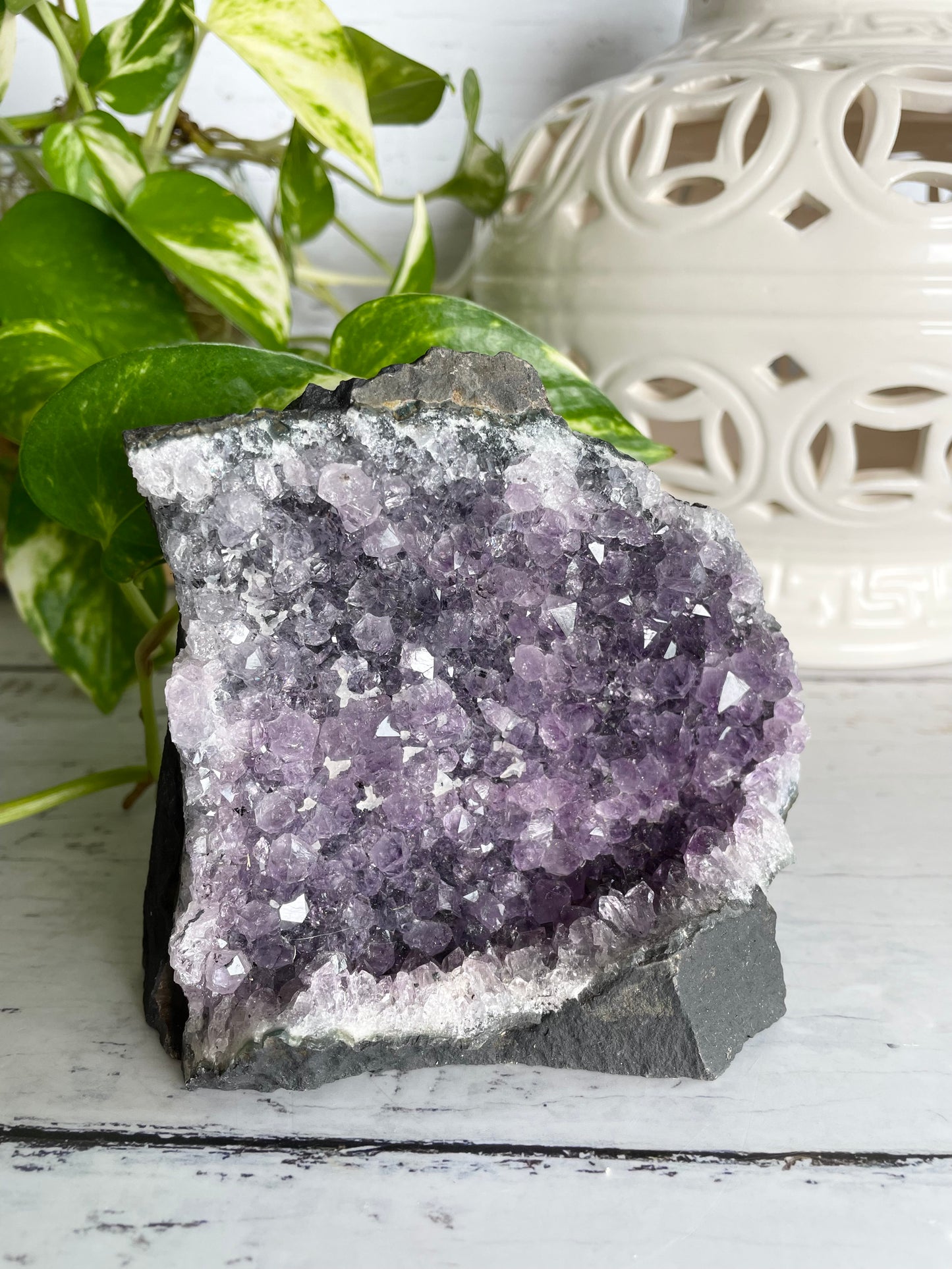 Amethyst Cluster