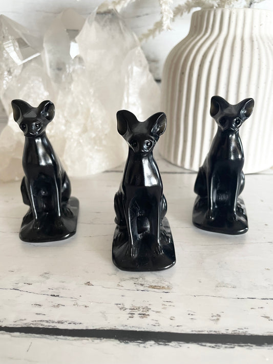 Black Obsidian Sphynx Cat