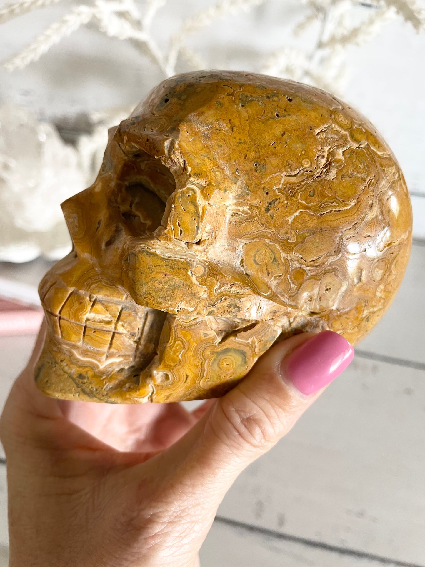 Crazy Lace Agate Skull ~ 1kgs