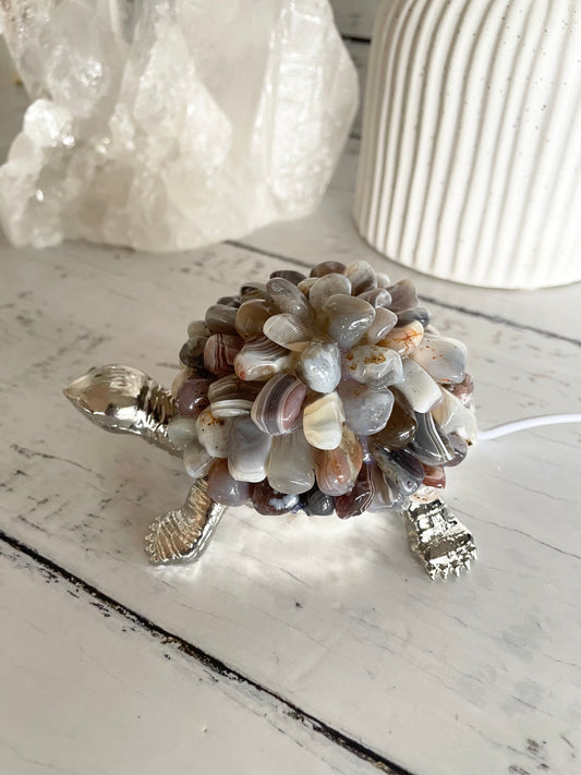 Tortoise Led Lamp ~ Botswana Agate