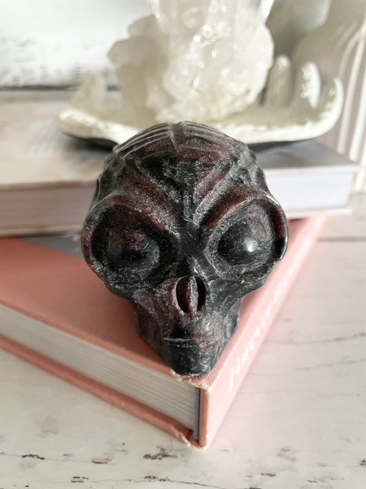 Garnet Alien Skull