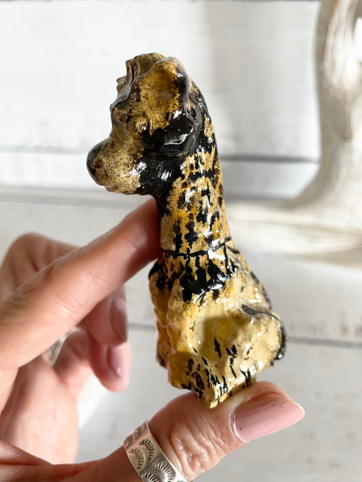 Picture Jasper Giraffe ~ 10