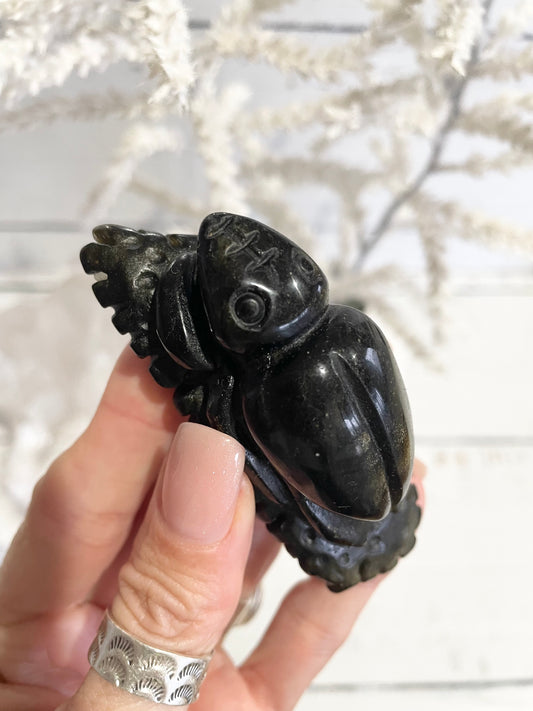 Golden Obsidian Beetle