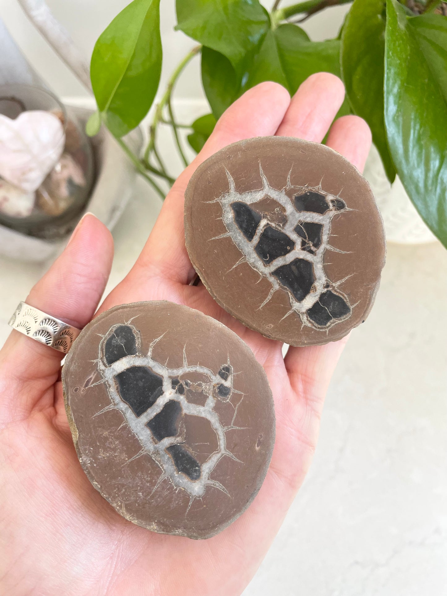 Septarian Twins Pair