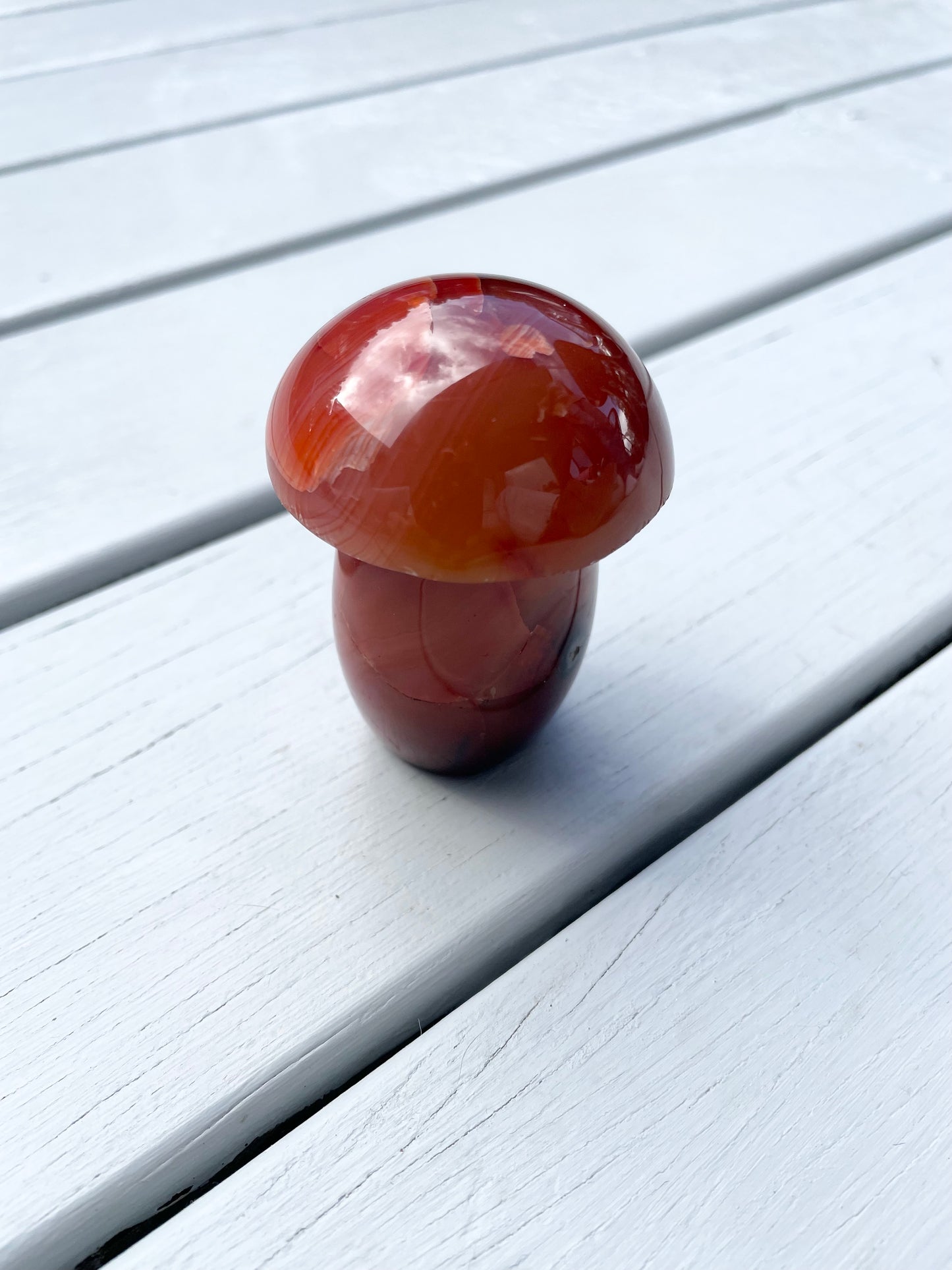 Carnelian Mushroom