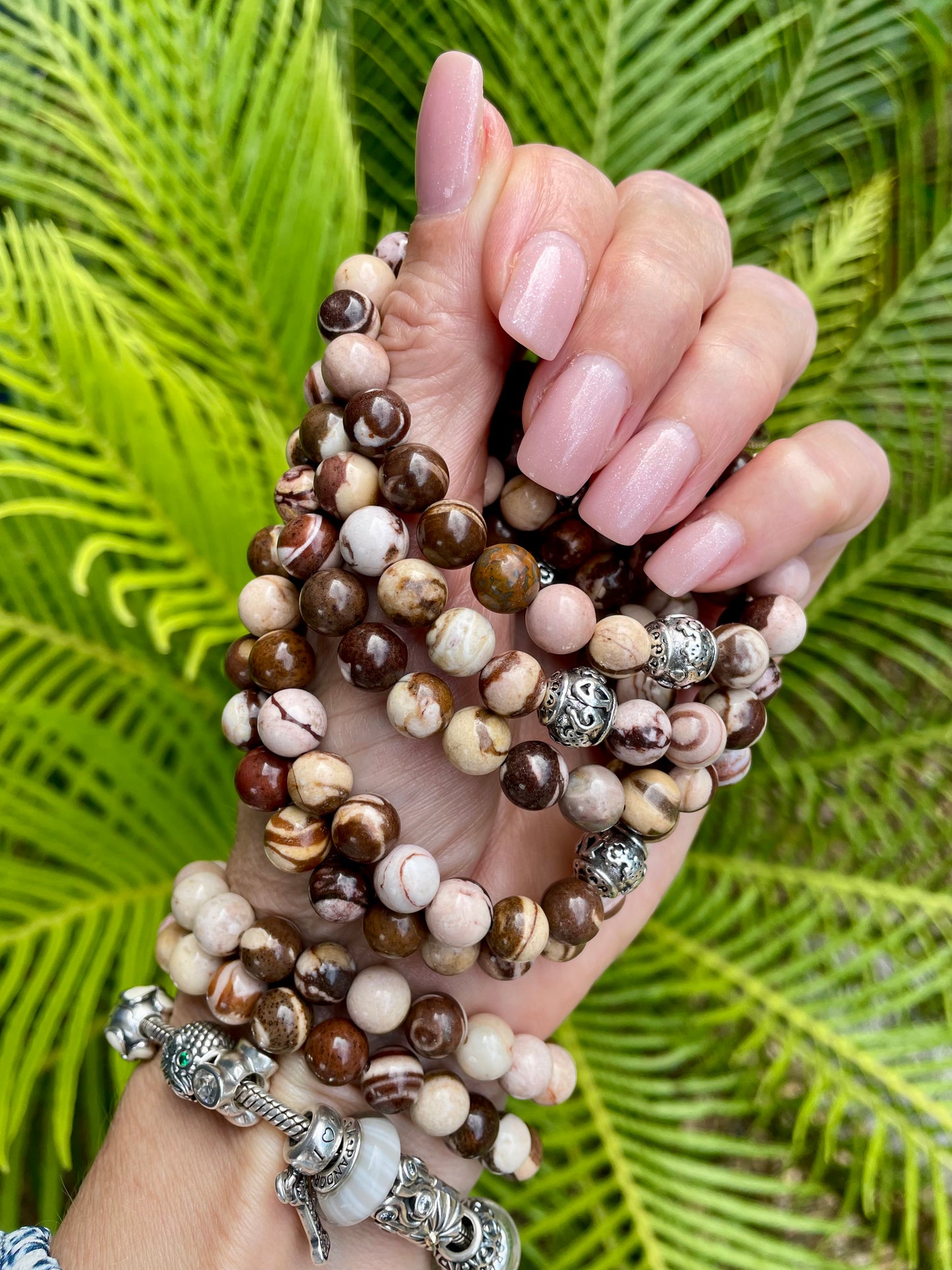 Australian Zebra Jasper Healing Bracelet ~ Initiative