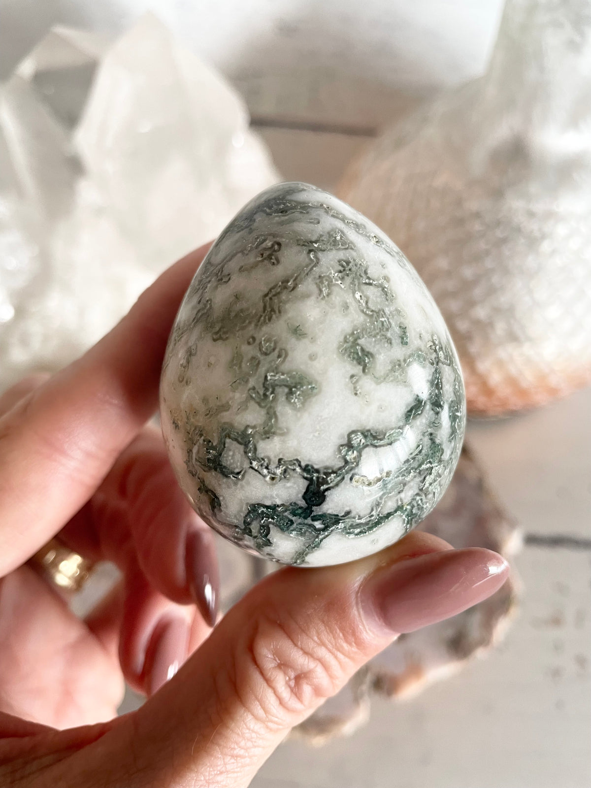 Tree Agate Egg includes holder